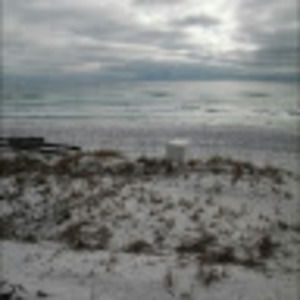 Meet your Posher, Marisol